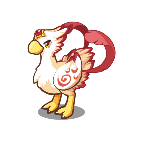 长尾火鸟